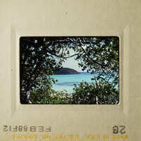 Two pictures of tropical beach scenes with clear blue water and palm trees, taken from different angles.