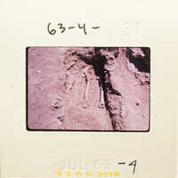 A photograph of bones and dirt on a film strip.