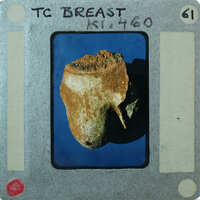 Detail of terracotta figurine breast fragment.