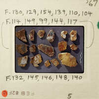 Old, damaged fragments on display with labels and numbers written around them.