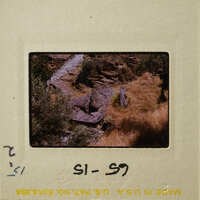 A photograph of a rocky landscape with plants and a small stream.