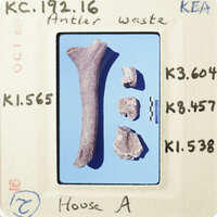 A collection of fragmented bones on a blue surface with labels and measurements.