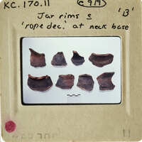 Old rope fragments displayed on a white background with labels and measurements.