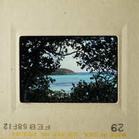The photo shows a serene beach scene with palm trees and clear blue water, captured on a vintage film strip.