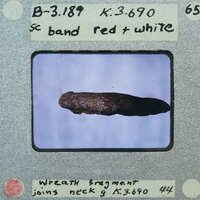 A small, dark-colored object on a clear background with labels and numbers around it.