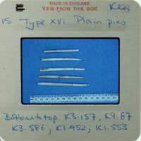 A collection of bone needles displayed on a blue background.