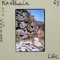 Slide of a stone wall with vegetation.