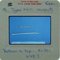 Two bone needles on blue surface.