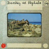 A vintage photo of a donkey with a cart on a beach, labeled "Donkey at Kepala".