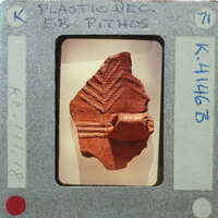 A red clay pottery shard with a leaf-like design on display.