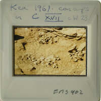 Ancient archaeological site with numerous artifacts.