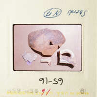 The image shows a collection of archaeological artifacts, including broken pottery and animal bones, displayed on a table.