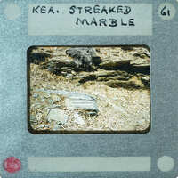 Exposed marble stone coming from the ground.