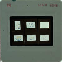 A slide of multiple slides of painted wall plaster fragments