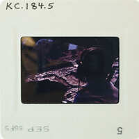 A person wearing a helmet and headset, possibly in a helicopter cockpit.