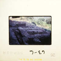 Ancient ruins with vegetation, captured on film.