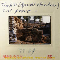 Ancient ruins with stone walls and trees in the background.