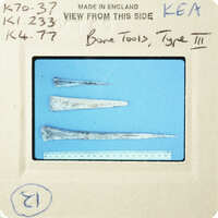 A collection of bone tools on display with labels and measurements.