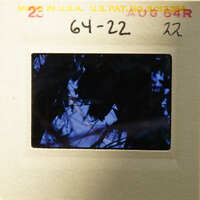 This is an old photograph with a visible number and date stamp on its border.