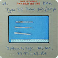 A collection of old bone pins or pegs with a label and measurements.