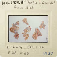 The image shows several small, red and white objects on a surface.