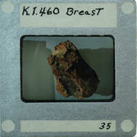 Interior of breast fragment of K1.460.