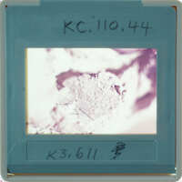 Detail of clay from figurine.