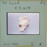 A photograph of a clay face mask on display.