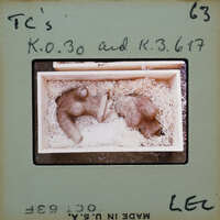 Small clay figurines inside a box with straw lining.