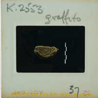 A small, dark object with markings on a clear surface.