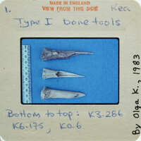 Three pointed bone tools on blue surface.