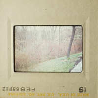 Two vintage photos depicting outdoor scenes, possibly taken by a photographer named "Susan" and featuring a landscape with trees and a path.