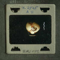A photograph of an ancient artifact, possibly a map or globe, with visible writing and markings on its surface.