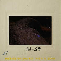 A photograph showing an outdoor scene with rocks and foliage at night, captured on film.