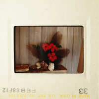 Two photos showing vintage Polaroid pictures with floral arrangements and a small seashell on a table, placed in a wooden frame.