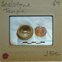Two ancient beads with a label indicating they are from the Sealskull Temple, displayed on a white surface.
