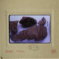 A collection of ancient pottery shards on display.