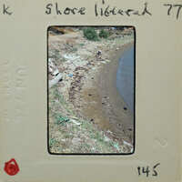 The image is a faded photograph of a shoreline with trash scattered on the beach, taken from an old film strip.