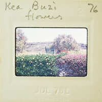 The image is a vintage photograph of a flower garden with a handwritten note on the front.