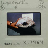 Hand holding a large, irregularly shaped object with rough texture and dark color.