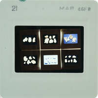 A slide with images of frescoes