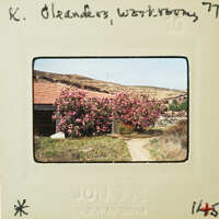 A vintage photograph of a house with pink flowers on the tree, dated June 1977.