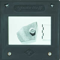 A close-up image of a rock with an imprint, displayed on a device with measurement lines and labels.