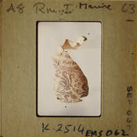 A photograph of an ancient pottery artifact with intricate patterns.