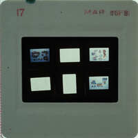 A slide of multiple slides of painted wall plaster fragments