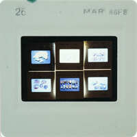 A slide with four slides and a label indicating it was taken on March 26, 1987.