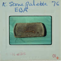 A small, dark object resembling a fossil or stone on a pale blue background with handwritten labels and numbers.