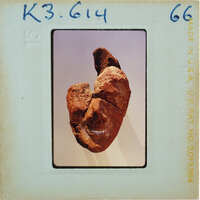 A photograph of a small, crudely made clay figurine resembling a human head with ears and facial features.