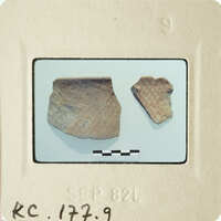 Two small, weathered ceramic pieces on a white surface with measurement lines and labels.