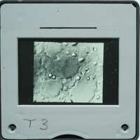 Microscopic detail of stone surface with small circles.